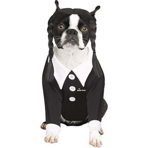 🐾 Wednesday Addams Dog Costume Small Spirit Halloween Pet Dress Wig